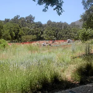 Irrigation installation, Meadow Lawn 2008