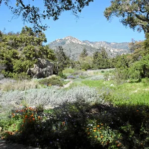 Meadow Terrace, North