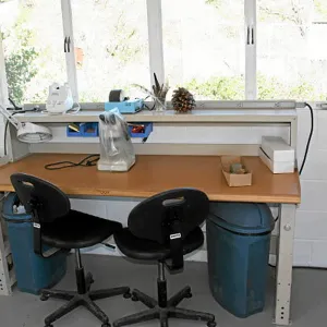 Seed Lab
