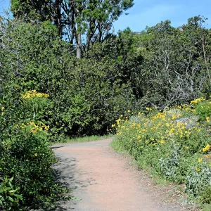 Paved trails on the Porter Trail