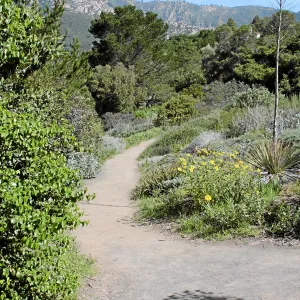 Paved trails on the Porter Trail