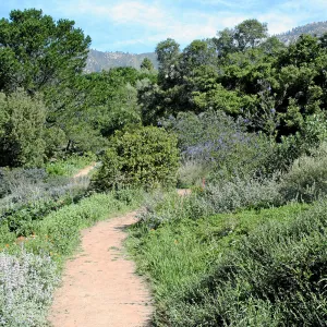 Paved trails on the Porter Trail