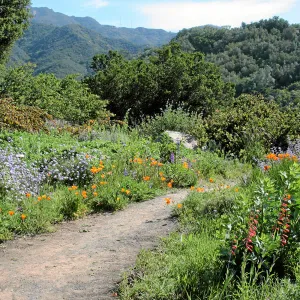 Paved trails on the Porter Trail