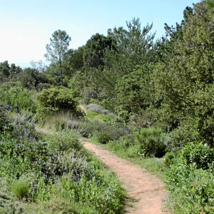Paved trails on the Porter Trail