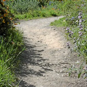 Paved trails on the Porter Trail