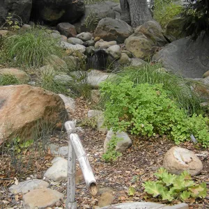View over tsukubai at Teahouse