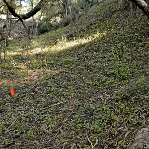 Toro canyon, winter