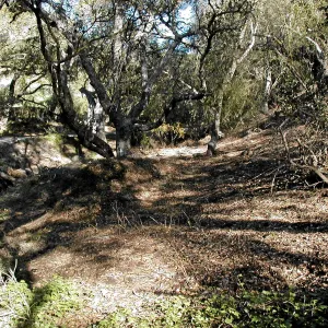 Toro canyon, winter