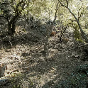 Toro canyon, winter