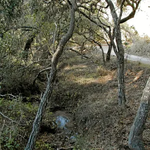 Toro canyon, winter