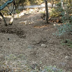 Toro canyon, winter