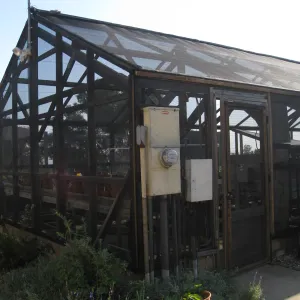 Hort nursery shade house after fire repairs