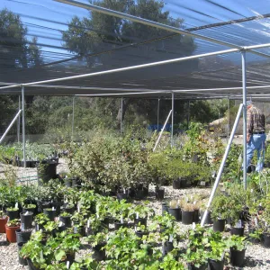 New shade cloth at lower canyard