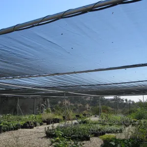 New shade cloth at lower canyard