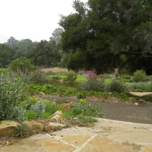 Meadow View bench looking across to the Meadow