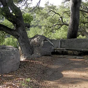 Bissell bench, Meadow Oaks