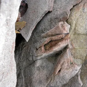 Sandstone boulders in the Desert Section