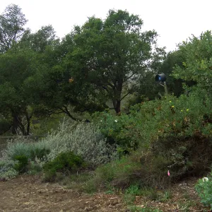 Meadow Revival Project Time Lapse Camera Installation
