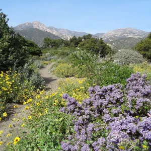 Porter Trail with view to La Cumbre Peak