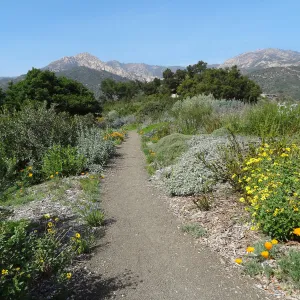 Porter Trail with view to La Cumbre Peak