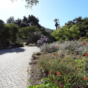 lower Meadow in bloom, SBBG, visitors on entrance path