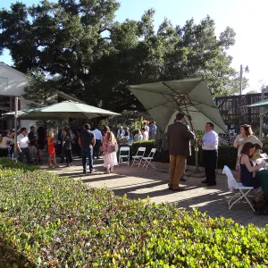 SBBG hosts Santa Barbara Chamber of Commerce Mixer, June 2013