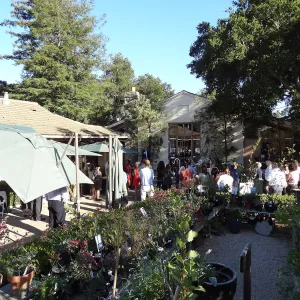 SBBG hosts Santa Barbara Chamber of Commerce Mixer, June 2013