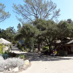 Garden Shop, Garden Entrance, wood bench, entrance oak, SBBG