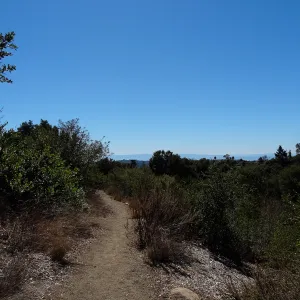View to the Channel Islands from the Porter Trail, SBBG