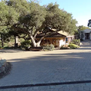 Garden Entrance, Garden Shop, Courtyard, Blaksley Library, entrance oak, wood bench, pre plant sale set up
