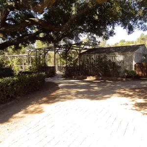 SBBG Fall Plant Sale 2013 set up in the Garden Courtyard and Garden Growers Nursery