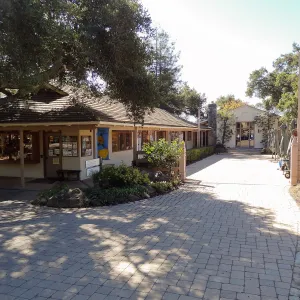 SBBG Fall Plant Sale 2013 set up in the Garden Courtyard and Garden Growers Nursery