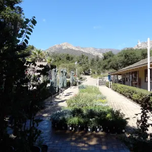 SBBG Fall Plant Sale 2013 set up in the Garden Courtyard and Garden Growers Nursery
