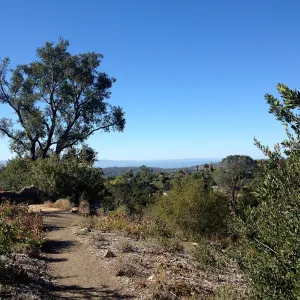 View to the Channel Islands from the Porter Trail, SBBG