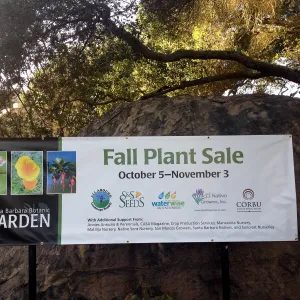 Fall Plant Sale 2013, banner at Garden entrance, SBBG