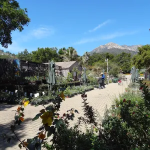 Spring Plant Sale 2013, SBBG