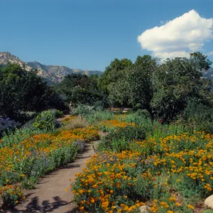 Porter Trail 