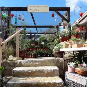 SBBG 20th Annual Holiday Marketplace 2013