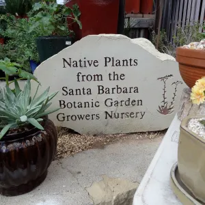 SBBG 20th Annual Holiday Marketplace 2013