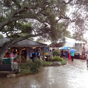 SBBG 20th Annual Holiday Marketplace 2013