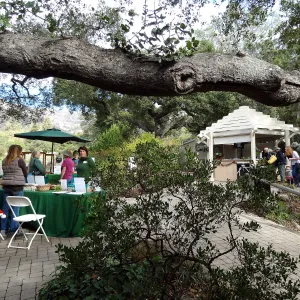 SBBG 20th Annual Holiday Marketplace 2013