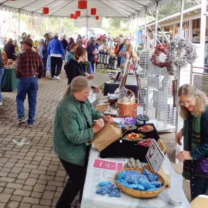 SBBG 20th Annual Holiday Marketplace 2013
