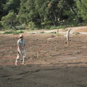 Sowing Lupine, Meadow Revival Project