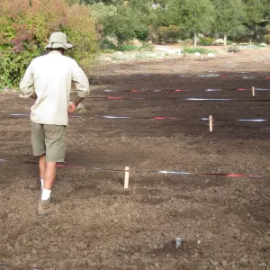 Sowing Small Wildflower Seeds, Meadow Revival Project