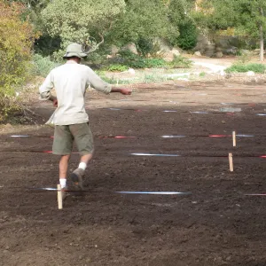 Sowing Small Wildflower Seeds, Meadow Revival Project