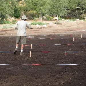 Sowing Small Wildflower Seeds, Meadow Revival Project