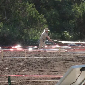 Raking Lupine Seeds into Soil, Meadow Restroration Project