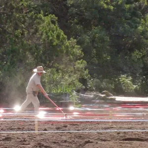 Raking Lupine Seeds into Soil, Meadow Restroration Project