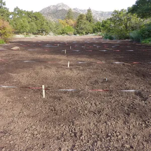 Meadow during lupine sowing, Meadow Revival Project