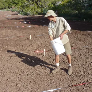 Sowing wildflower seed mixed with sand, Meadow Revival Project